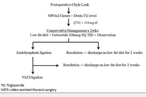 how long does it take for a chyle leak to heal|When Chyle Leaks: Nutrition Management Options